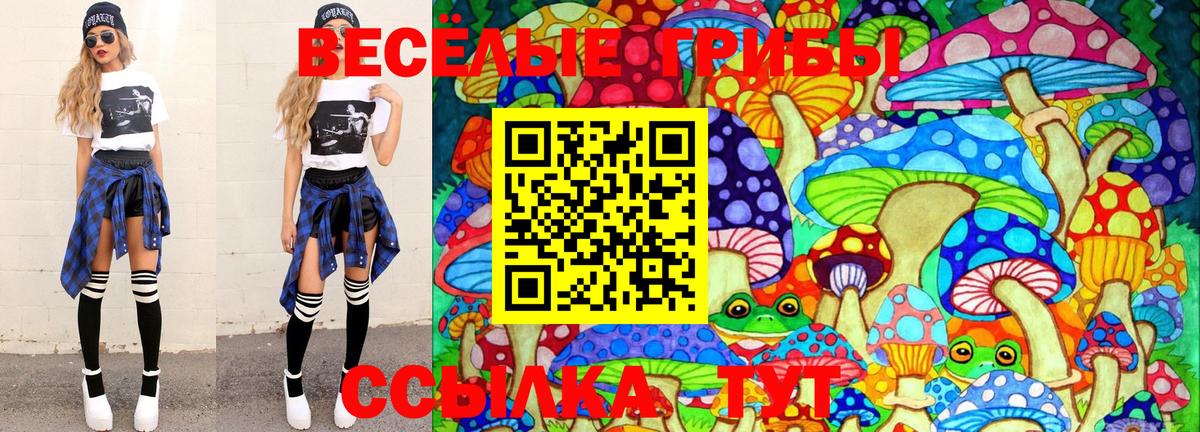Бор  купить закладку  Псилоцибиновые грибы Cubensis  Вход с VPN  Псилоцибиновые грибы MAGIC MUSHROOMS 