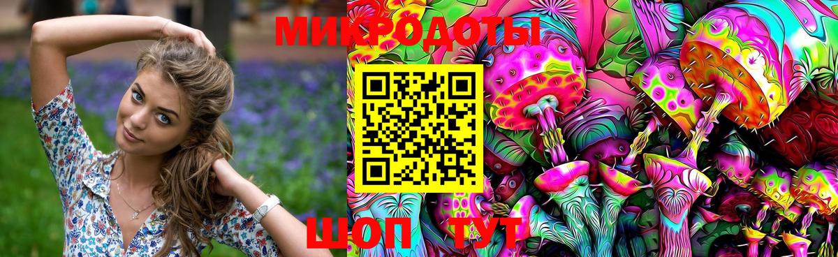 Галлюциногенные грибы Cubensis Бор